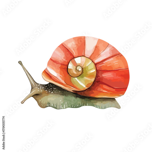 Watercolor Snail with Detailed Shell and Delicate Antennae Side View (1)