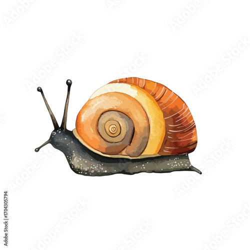 Watercolor Snail with Detailed Shell and Delicate Antennae Side View