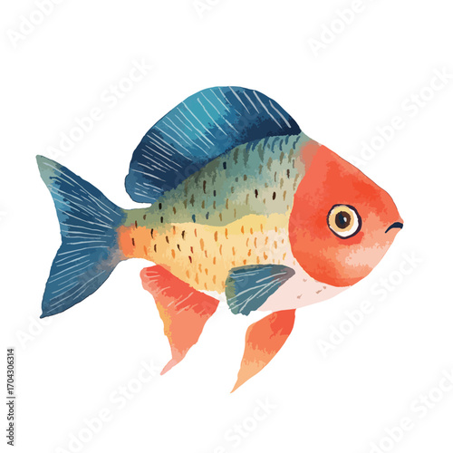 Watercolor Style Oranda Goldfish with Blue Dorsal Fin and Orange Body
