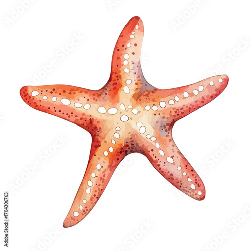 Watercolor Textured Starfish with Distinctive White Spots and ReddishOrange Hue
