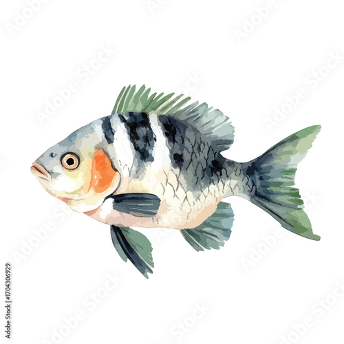 WatercolorStyle Fish with Striking Dorsal Fin and Orange Cheek Patch