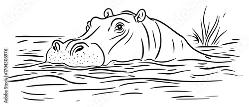 Hippo Submerged Line Art Vector – Alert Hippopotamus Head Peeking Above Calm River Surface, African Wildlife Safari Illustration for Educational Posters, Zoo Branding, Adventure Prints