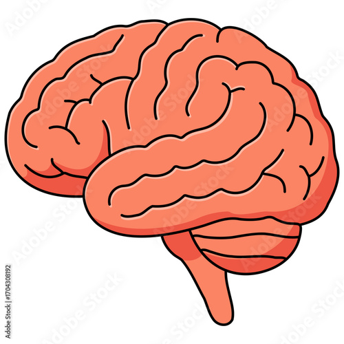 Human Brain 2D Icon