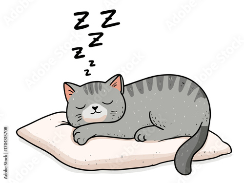 Hand-drawn vector illustration of a cute cat sleeping on a pillow, soft clean lines, minimal modern vector art