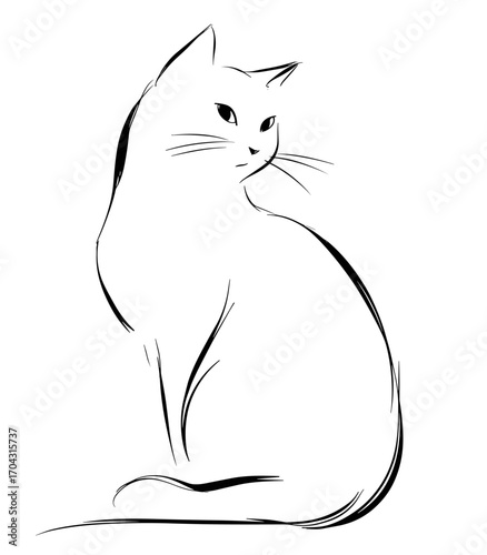 Hand-drawn vector illustration of a cute domestic cat sitting gracefully, clean white background