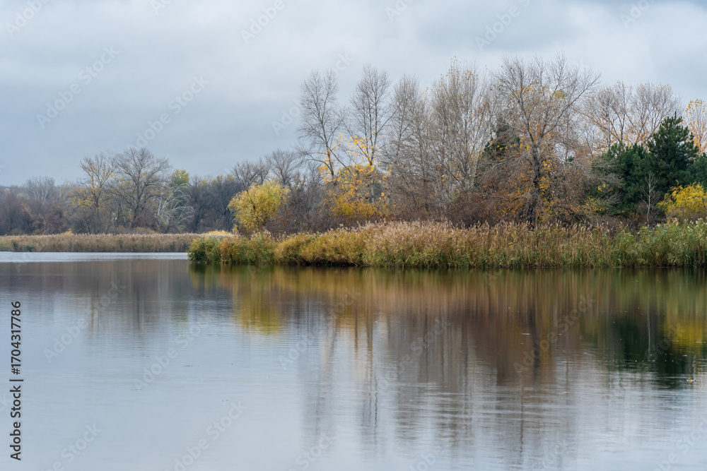 Obraz premium Autumn island with pine and deciduous trees on picturesque river. Views of landscape with gloomy sky in late autumn. Beautiful nature mix of colors of evergreen plants and yellow leaves and blue water