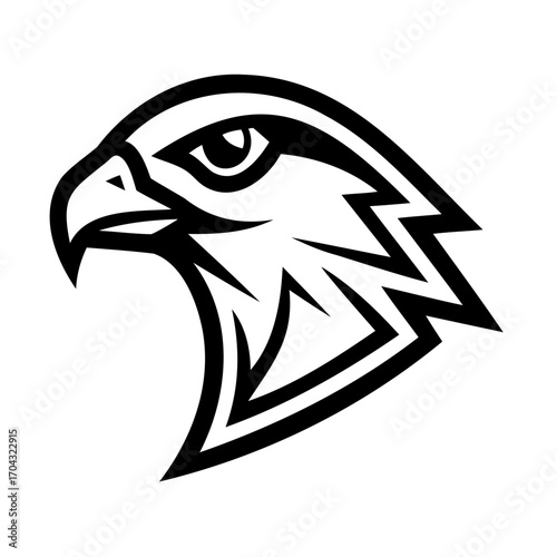 Vector Illustration Of  A Falcon Head 