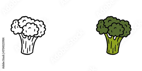 Fresh broccoli bunch, vibrant green veggie for healthy eating, nutrition, and culinary inspiration.