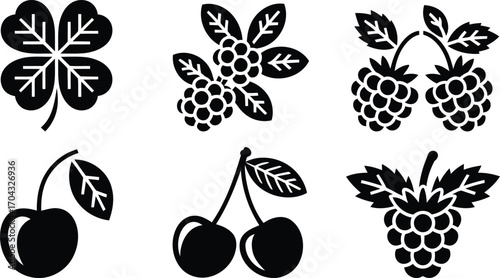 Botanical Black and White Illustration of Four Leaf Clover and Variety of Berries and Cherries Decorative Natural Elements