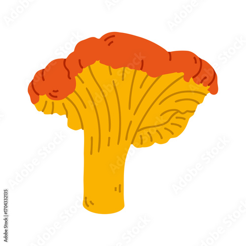 Illustration of a chanterelle mushroom with bright yellow stem and orange cap. Wild edible fungi symbolizing autumn harvest, forest foraging, organic food, gourmet cooking and natural nutrition.