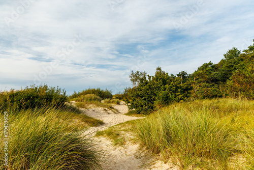 Scenic sand dune path with beach grass at the Baltic Sea coast, northern European coastal landscape, peaceful summer travel and nature background