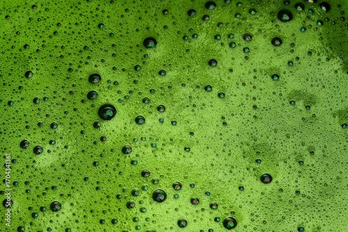 Картината върху платно Vibrant Matcha Foam