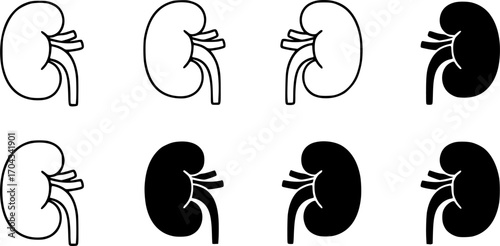 Kidney icon set, line and black glyph style 