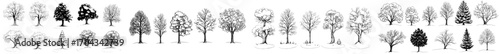 Winter landscape featuring cartoon trees with snow-covered branches, including birch, spruce, oak, maple, and elm, set in a modern forest or garden