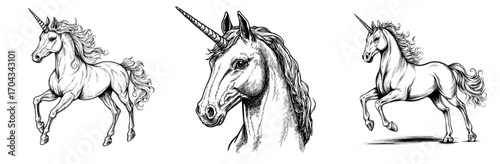 The fantasy unicorn from dreams is illustrated as a solitary sketch icon, an isolated animal from fairy tales, accompanied by the modern mythical pegasus, a horse with a horn, used as a heraldry