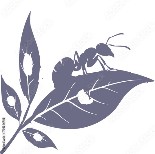 Silhouette of a foraging ant on a damaged leaf representing nature and insect life