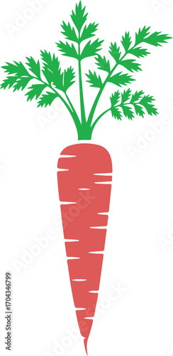 Vibrant orange carrot with lush green foliage isolated on a clean white background