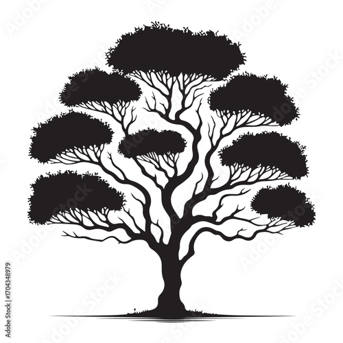 Sandalwood Tree Silhouette