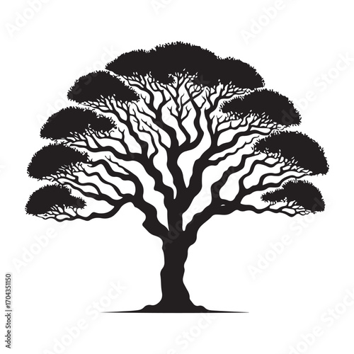 Sandalwood Tree Silhouette