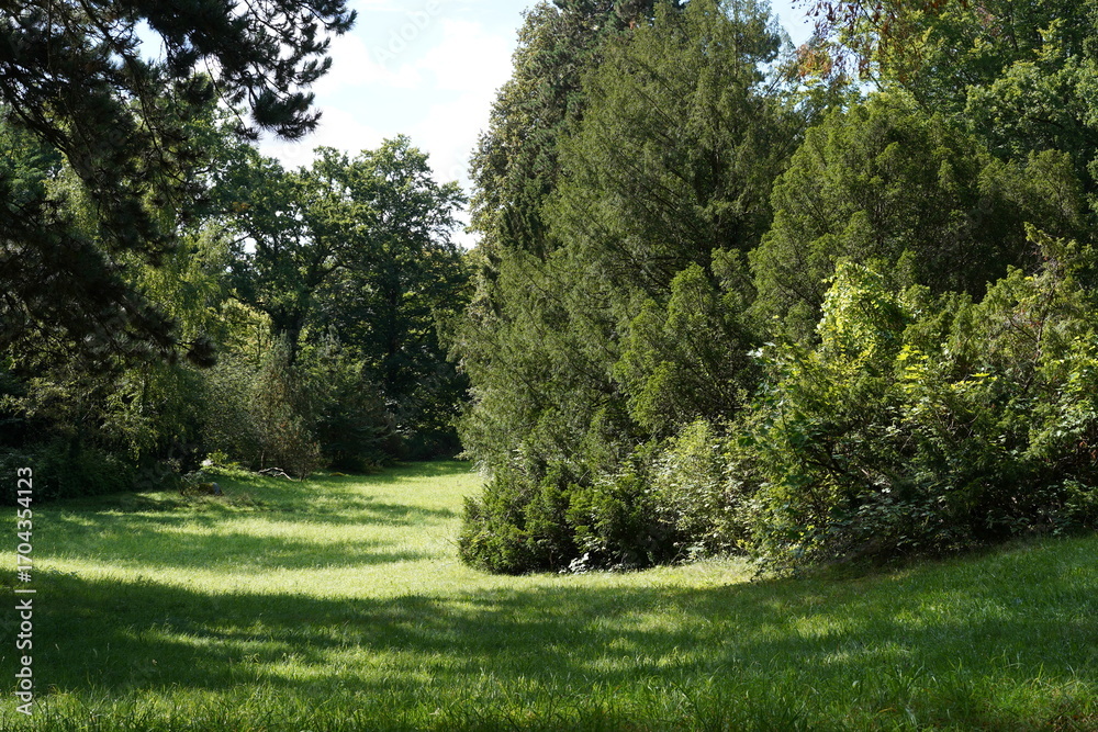 Obraz premium Naturlandschaft von Park Sanssouci im Frühherbst