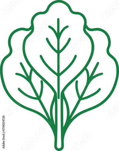 Green Line Art of Spinach Leaf Illustration