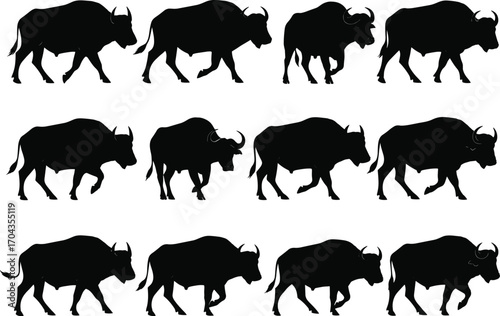 Buffalo silhouette collection, wild animal vector set, African wildlife icons, black buffalo illustration, walking herd silhouettes, nature symbols, isolated on white background