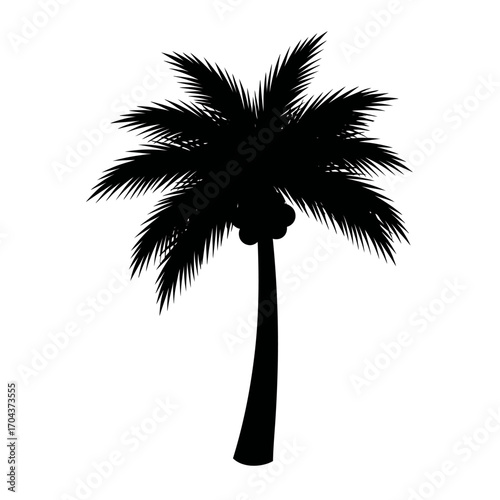 Silhouette of a palm tree centered within a square frame on a solid surface silhouette
