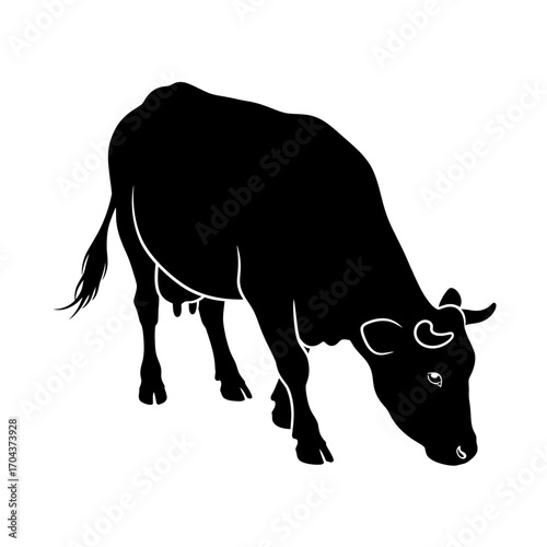 Silhouette of a cow grazing in a field evokes rural livestock farming scenes silhouette