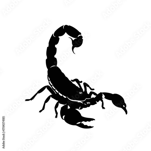 Silhouette of a scorpion symbol in black and white for diverse design applications silhouette
