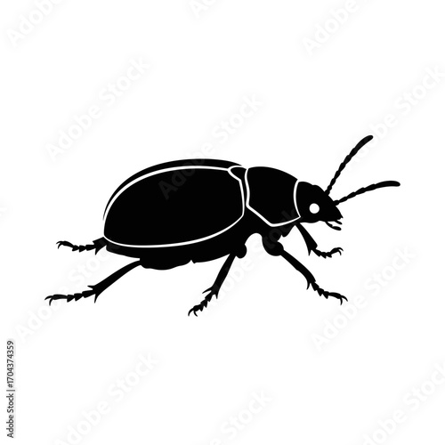 Black beetle silhouette insect symbol graphic for nature and wildlife designs silhouette