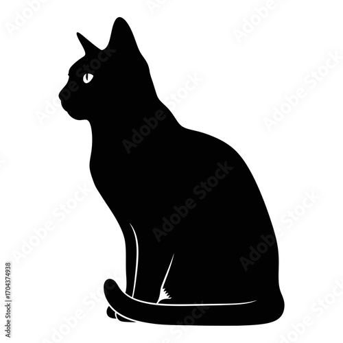 Elegant black cat silhouette sitting gracefully in a white square frame iconic animal icon silhouette