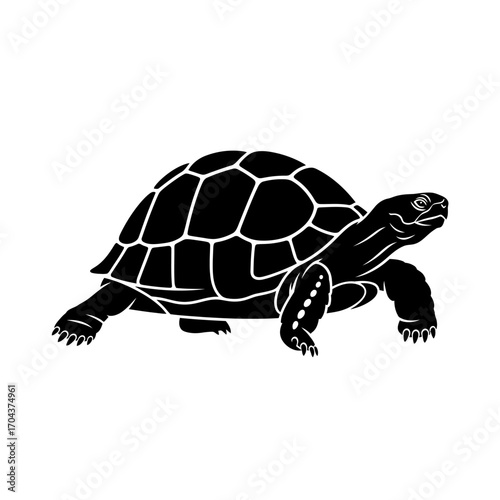 Detailed silhouette of a tortoise in motion symbolizing patience and longevity silhouette