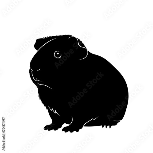 Adorable black small fluffy animal sitting isolated on silhouette
