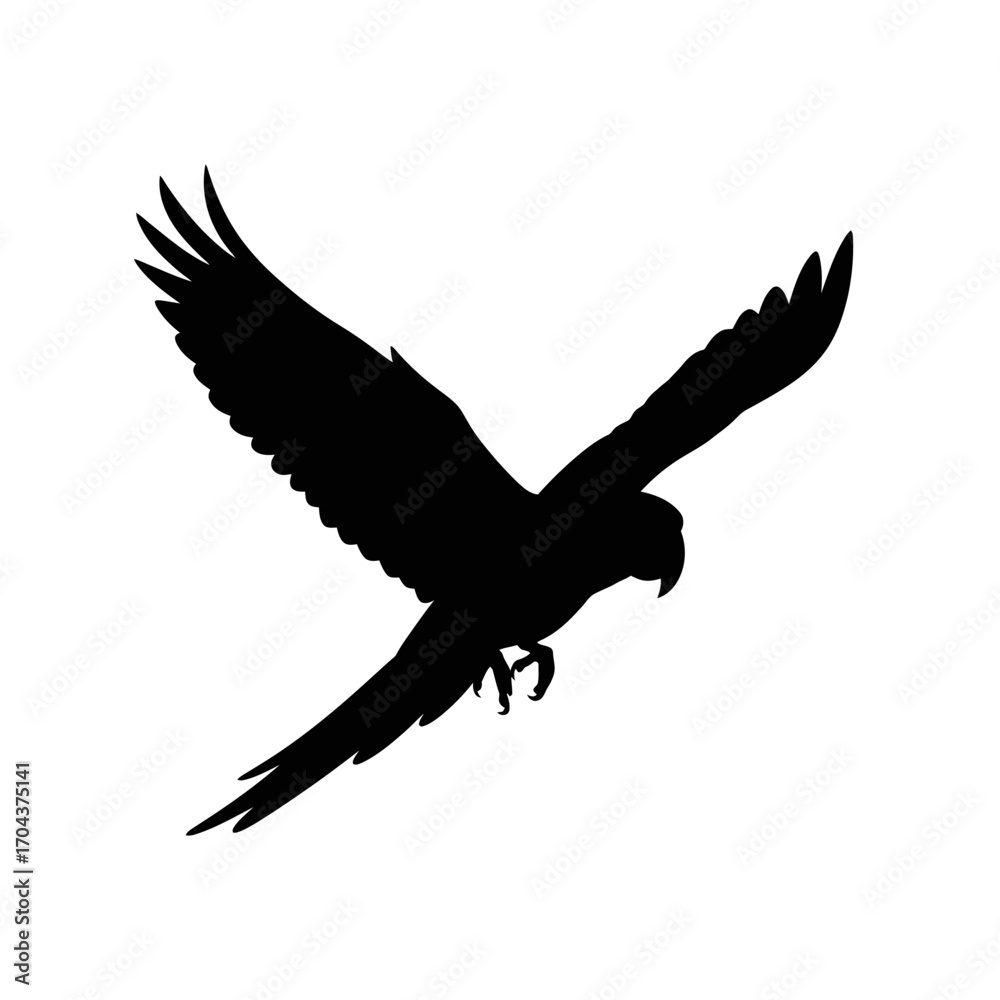 Obraz premium Silhouette of a bird in flight within a square frame on a solid surface silhouette