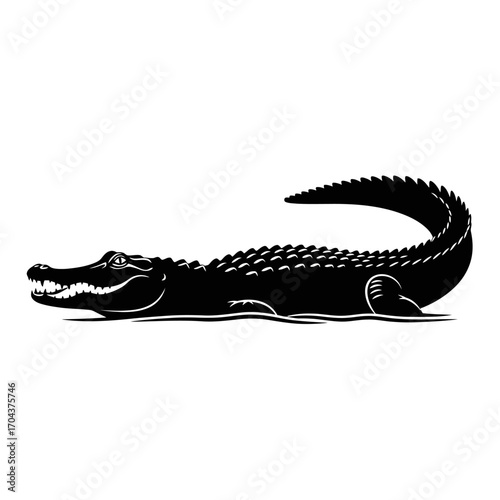 Dark silhouette of a scorpion in a bold graphic style on silhouette