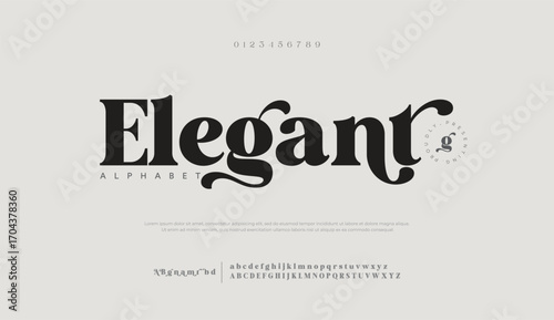 Elegant awesome alphabet letters font and number. unique serif font. Classic Lettering Minimal Fashion Designs. Typography fonts regular uppercase and lowercase. vector illustration