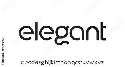 Elegant alphabet letters serif font and number. Classic Lettering Minimal Fashion. Typography fonts regular uppercase, lowercase and numbers. vector illustration

