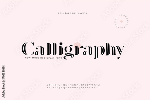 Calligraphy Luxury wedding alphabet letters font. Typography elegant classic lettering serif fonts and number decorative vintage retro concept for logo branding. vector illustration

