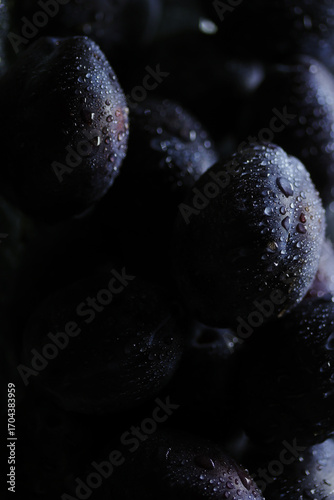 Fresh plums with water drops, organic fruit, healthy food