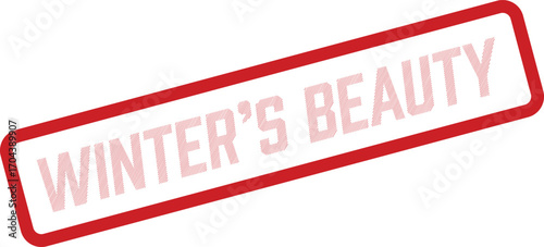 Red outlined rectangle features an inscribed phrase that says winter is beauty on transparent background
