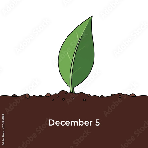 Young Green Plant Emerging from Soil with Date December 5