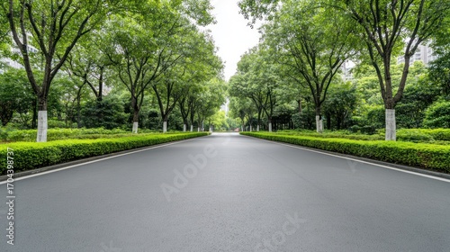 Wallpaper Mural Empty asphalt road amidst lush green trees Torontodigital.ca