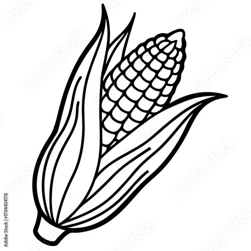 Detailed Corn Line Drawing with Husk and Kernels