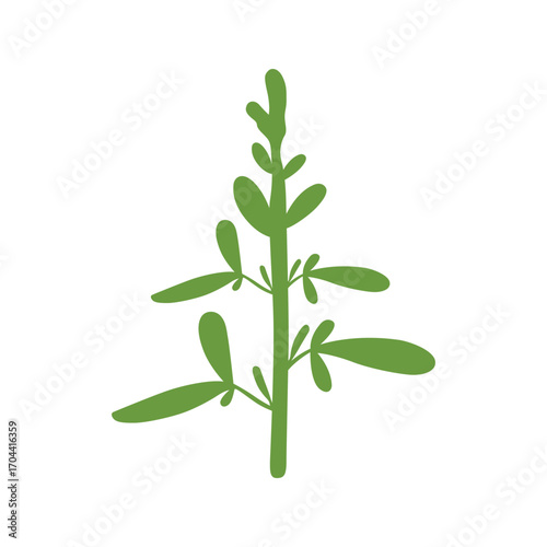 Stylized moringa leaves icon, perfect for health, wellness, and organic product designs. Features vibrant green foliage.