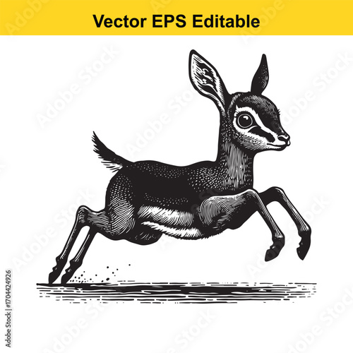 Vector art of young gazelle running