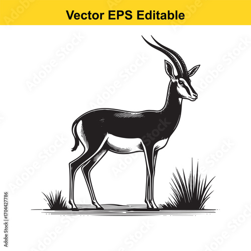 Vector art of black and white illustration of a gazelle standing in grass