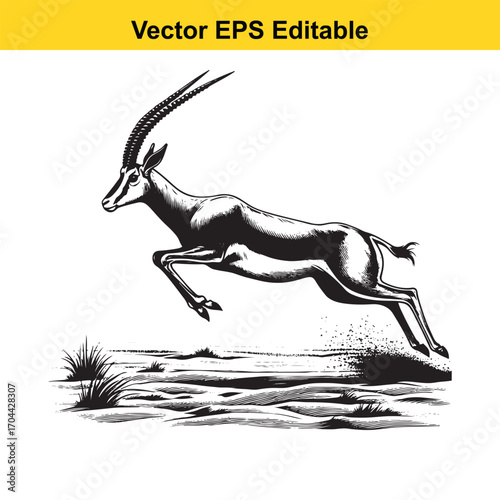 Vector art of vintage illustration of a gazelle leaping across a dry, dusty savanna