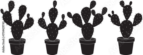 Four potted prickly pear cactus plants in a row silhouette