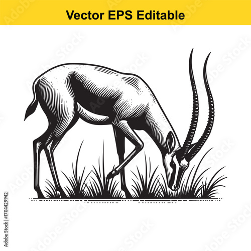 Vector art of engraving style illustration of a gazelle grazing in tall grass