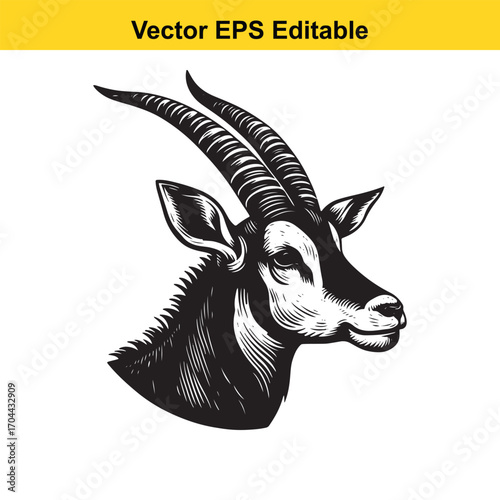 Illustration of a sable antelope head